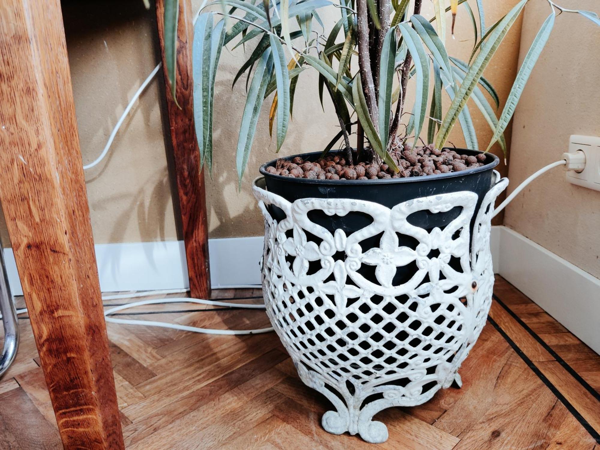B&B House Of Straw Amsterdam Ngoại thất bức ảnh
